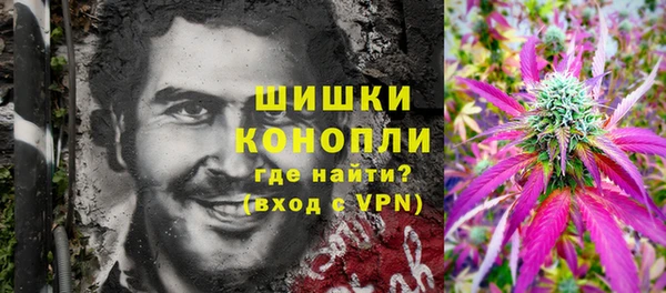 тгк Володарск