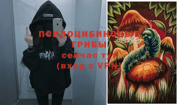 сатива Снежногорск