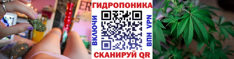 Конопля AK-47 что такое Свободный